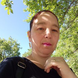 ���� �����, ���������, 44 ���� - ��������� 25 ��� 2026