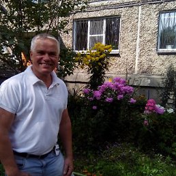 , 55, 