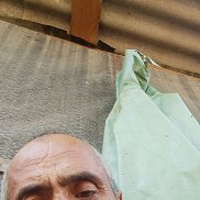 , 46 , 