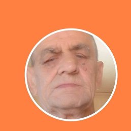 ����, �������-���������, 66 ���