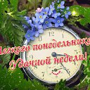  Ninel***,  -  27  2024    
