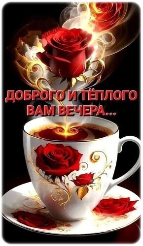   - 1  2025  18:04