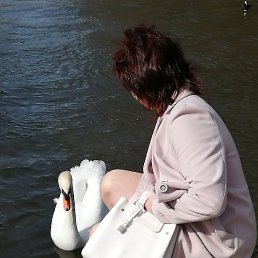 �������, ������������