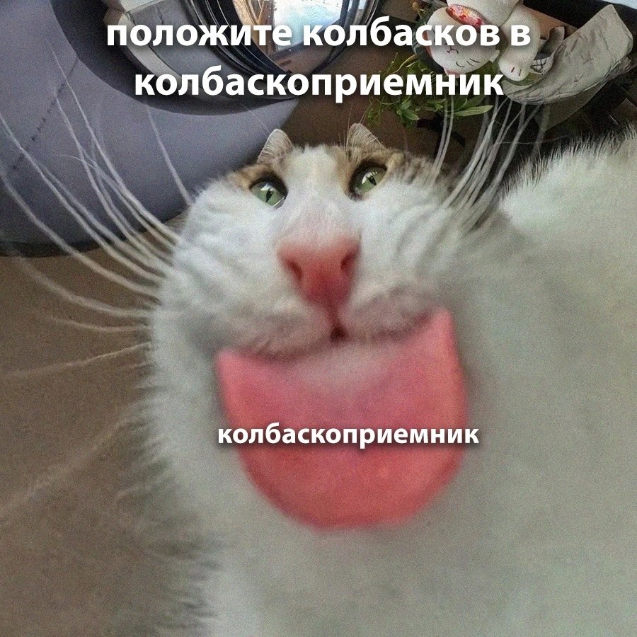    - 19  2025  12:35