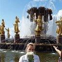 ���� 2015 �� ������� ���� ����������