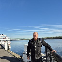 �������, ���������, 46 ���