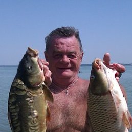 Vladimir, ������-��-����, 66 ���