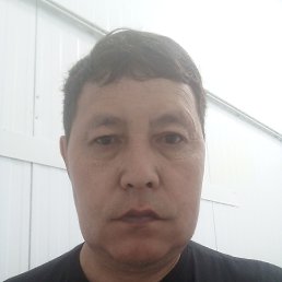 , 53 , 