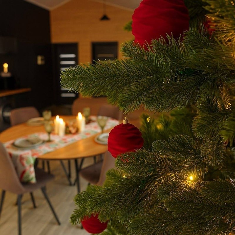 �������� ������� �� ��������� ����� � �������� ���� ��������� ������ ������? � ��� ��� ��� ���� ... - 2