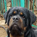 �����. �� ������� ������ ��������