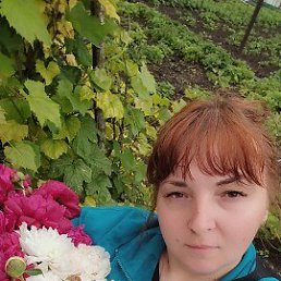 ���� �����, ����, 39 ��� - ��������� 8 ���� 2026