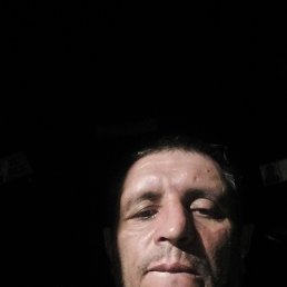 , 48, 