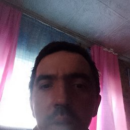 , 38, 