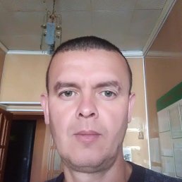 , 41, 