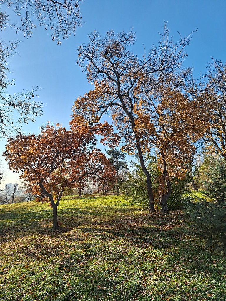 o��o�pa� - 5