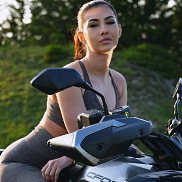 , , 