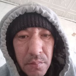 ����, ������, 41 ���