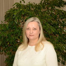 , 41 , -