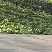 , , 