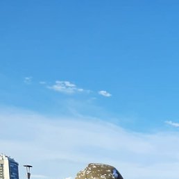 �������, 44 ����, ���������