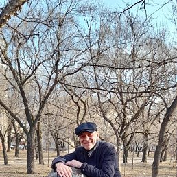 ������, 56 ���, ������