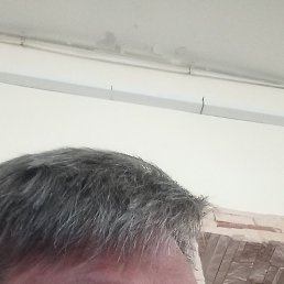 , 53 ,  