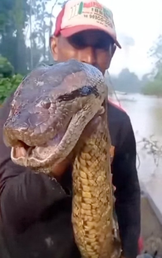 ���� �� �����, ��� ����� ������ ���� �������� ������... �������� � ����� ������ ���� � ����. ��� ... - 2