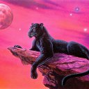 ���� ����., ��������� - ��������� 24 ������ 2025