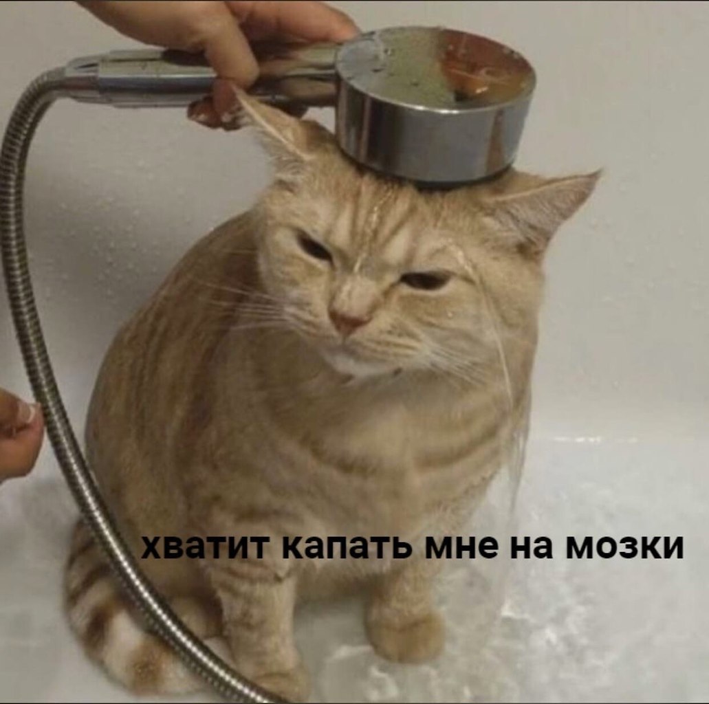    - 8  2023  23:42