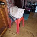 ���� �����, �����������, 47 ��� - ��������� 28 ������� 2025 � ������ ���� ����������