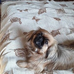 Nina, ��������, 76 ���