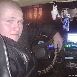 �����, ������, 37 ���