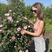 , 26 , 