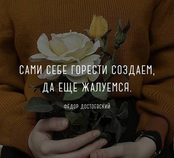   - 12  2023  11:54