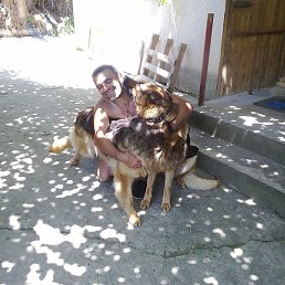 �����, ����, 52 ����