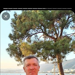 ������, 53 ����, ����