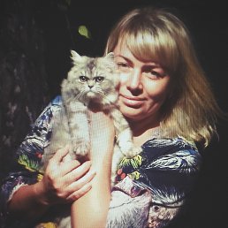 Alina, , �����������
