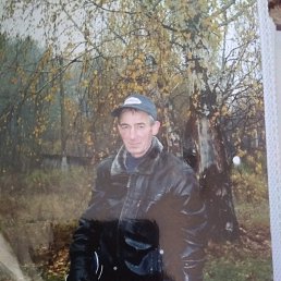 , 53, 