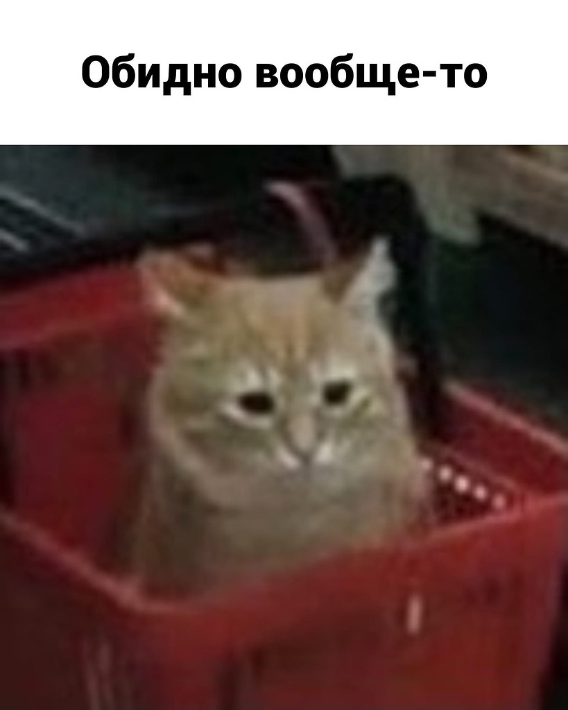 ��� ���� � ����� �� �� - 27 ��� 2026 � 15:55 - 4