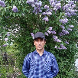 , 52, 