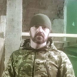 , 41, 
