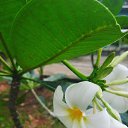 ���� Tati, ����, 56 ��� - ��������� 11 ��� 2024 � ������ ���� ����������
