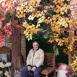 ����, 57 ���, ����������