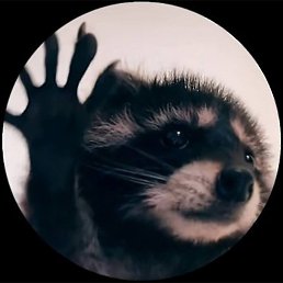 ������, ������, 25 ���