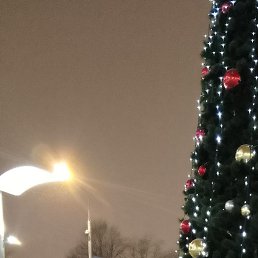 �������, ����, 36 ���