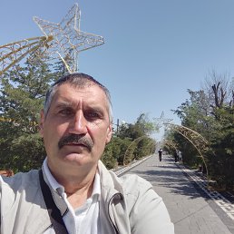 , 56, 