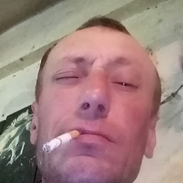 ����, �������, 48 ���