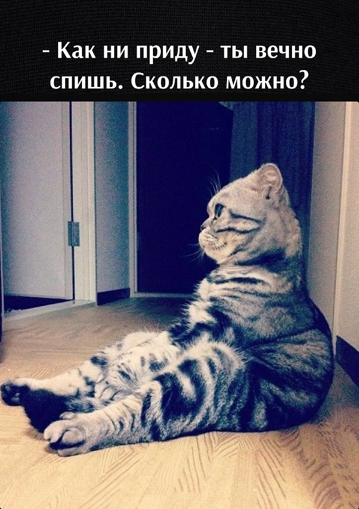       - 4  2023  12:42
