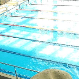 ����, 37 ���, �����������