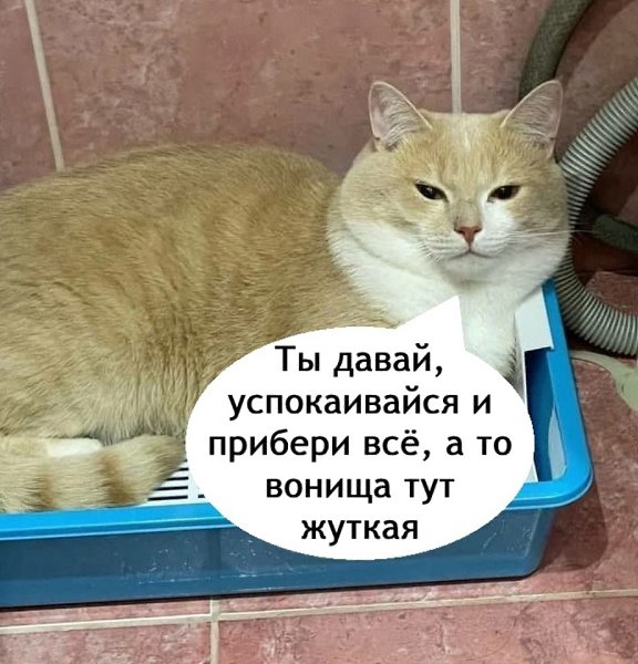     - 4